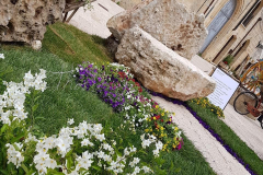 Corsano_in_fiore_2021-15