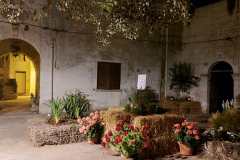 Corsano_in_fiore_2021-22