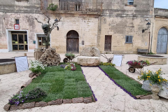 Corsano_in_fiore_2021-24