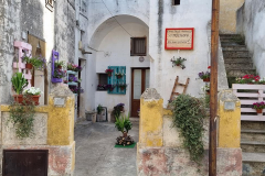 Corsano_in_fiore_2021-31
