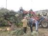 Focara (7)